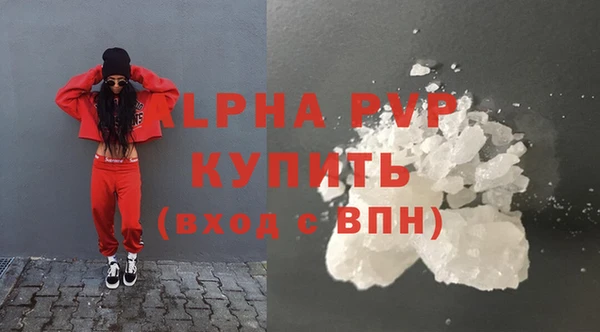 индика Зеленодольск