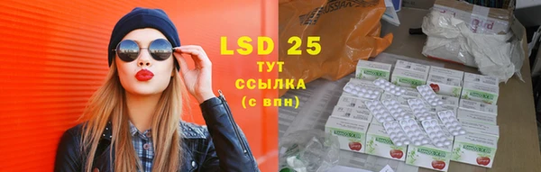 индика Зеленодольск