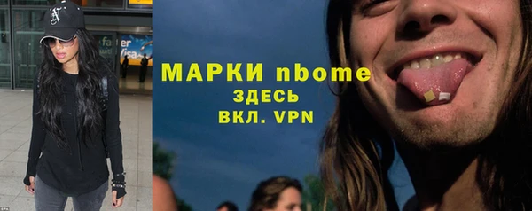 индика Зеленодольск