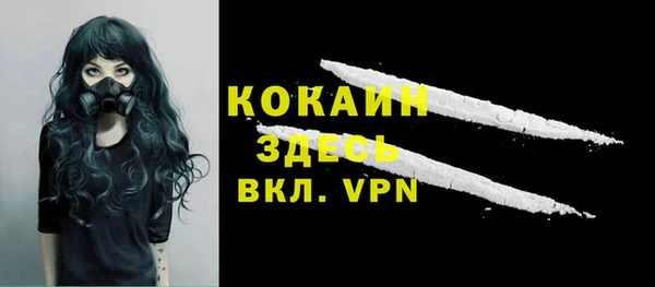 индика Зеленодольск