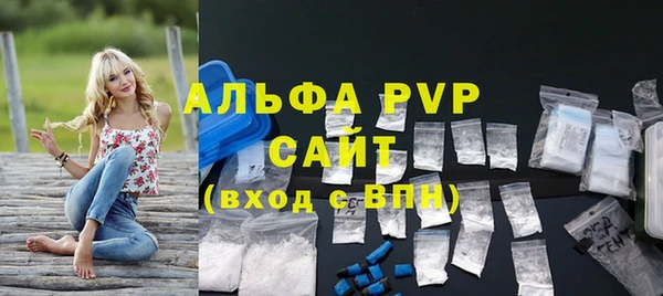 индика Зеленодольск