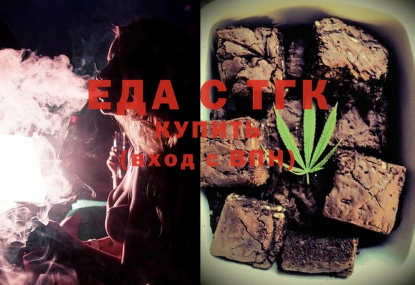 индика Зеленодольск