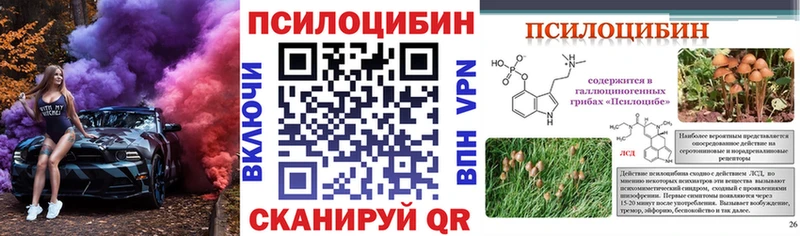 МЕГА онион  Невинномысск  Галлюциногенные грибы Psilocybe 