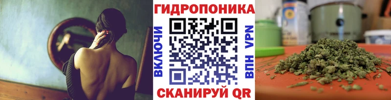 Конопля семена  Невинномысск 
